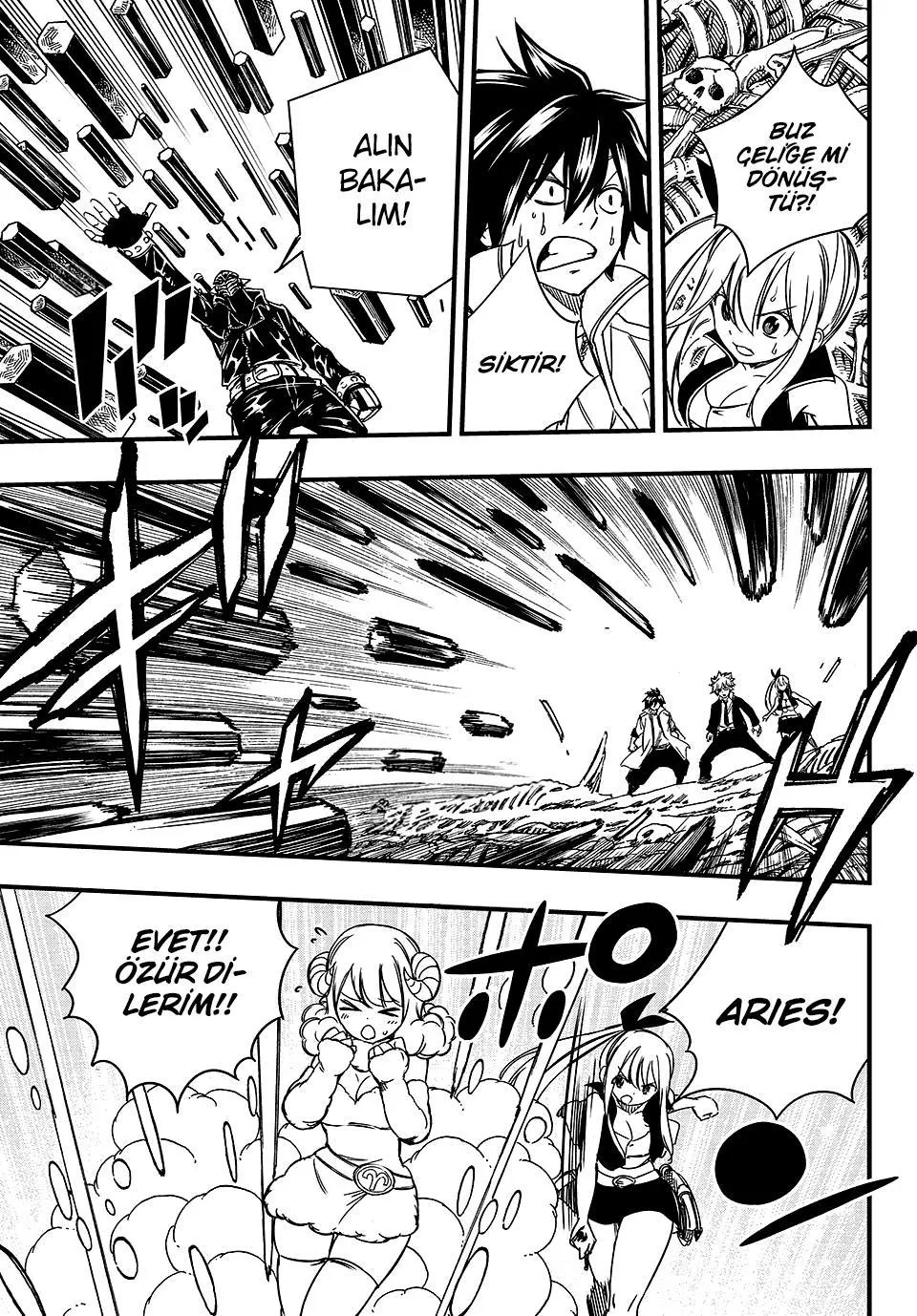 Fairy Tail: 100 Years Quest - Sayfa 12