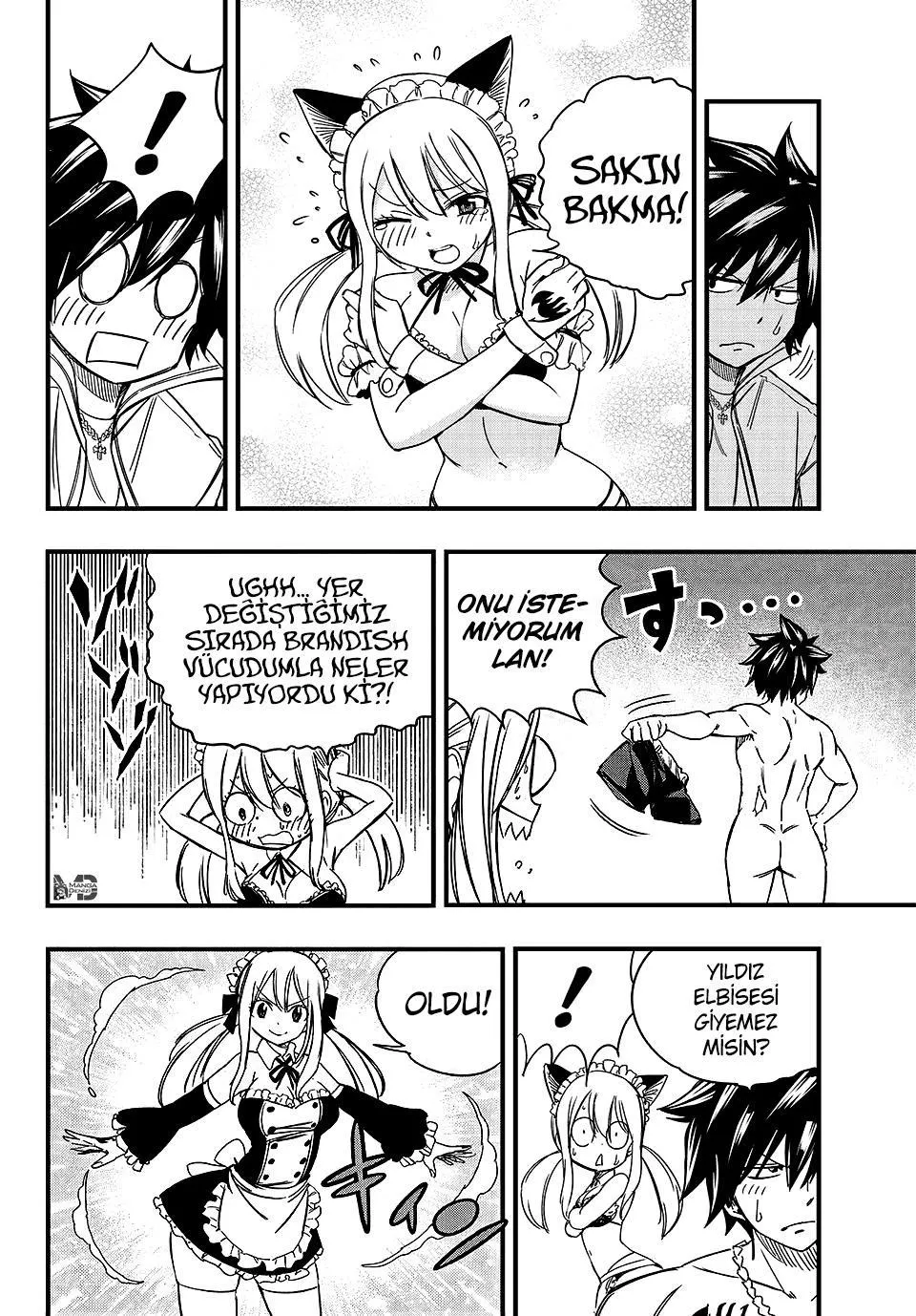 Fairy Tail: 100 Years Quest - Sayfa 13