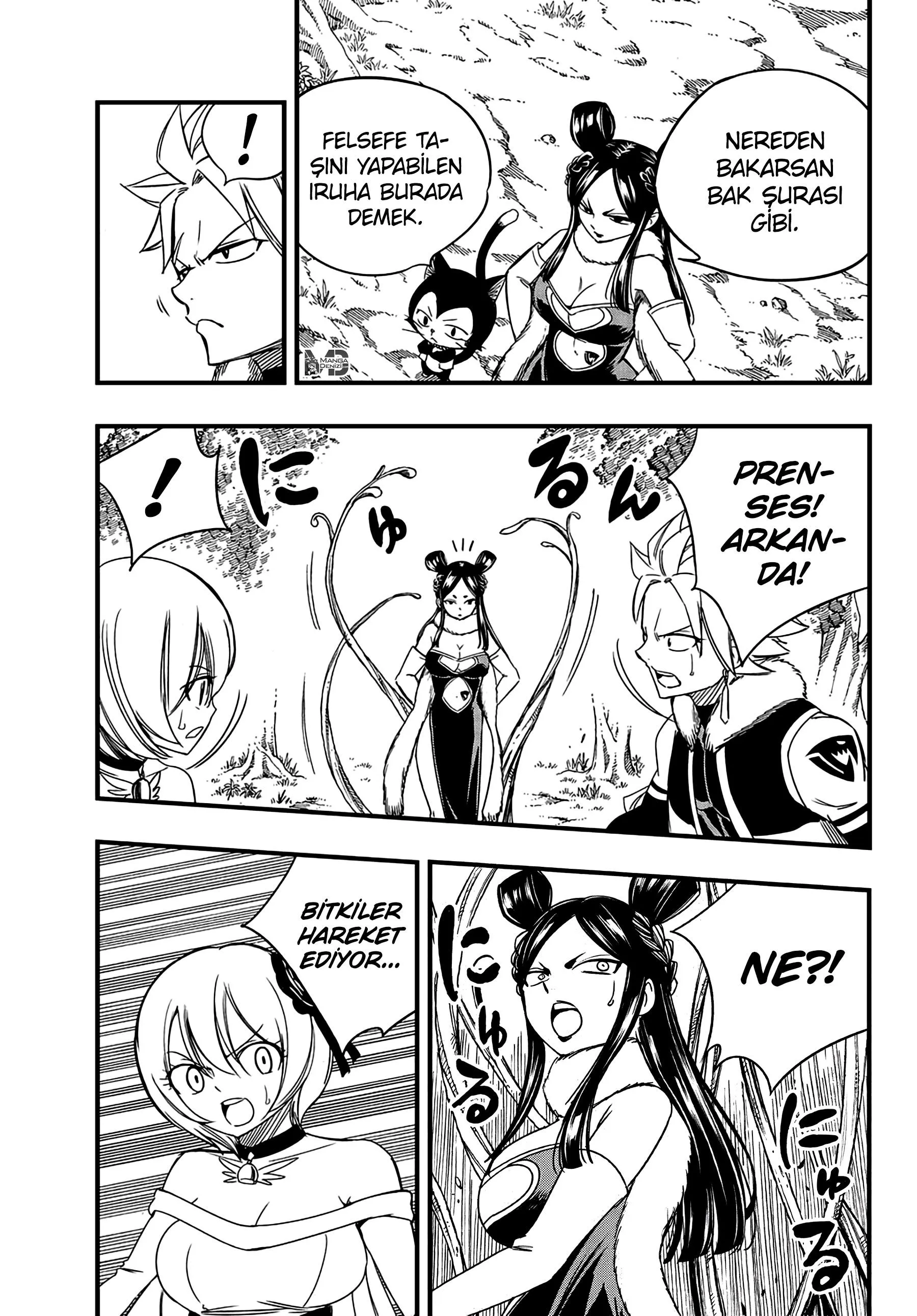 Fairy Tail: 100 Years Quest - Sayfa 12