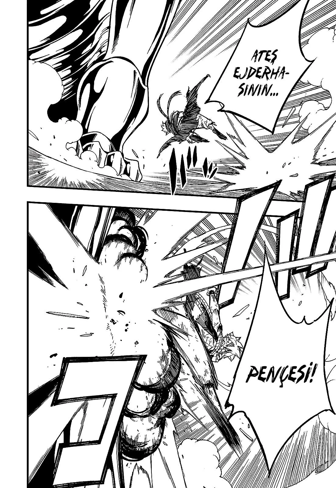 Fairy Tail: 100 Years Quest - Sayfa 5