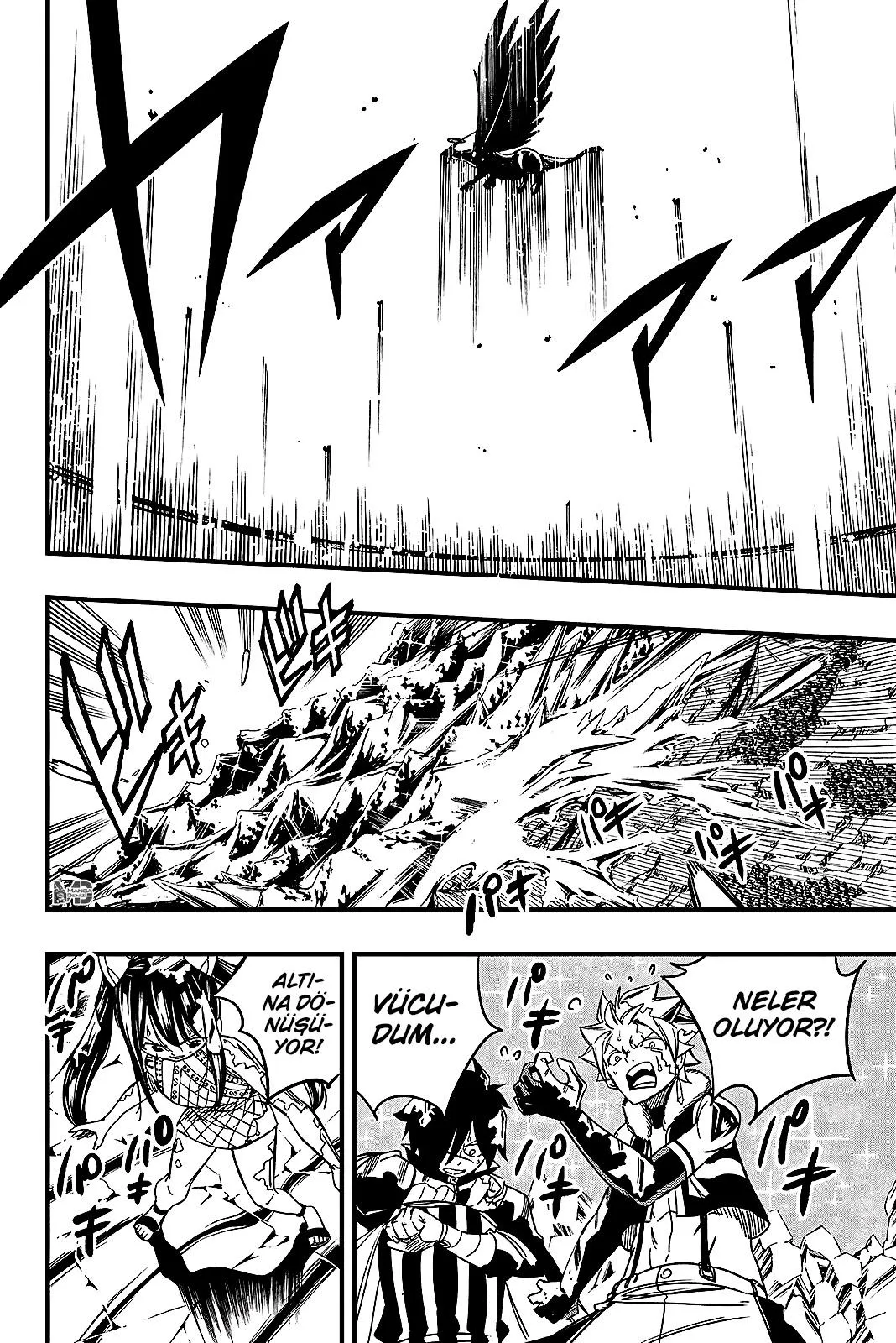 Fairy Tail: 100 Years Quest - Sayfa 11