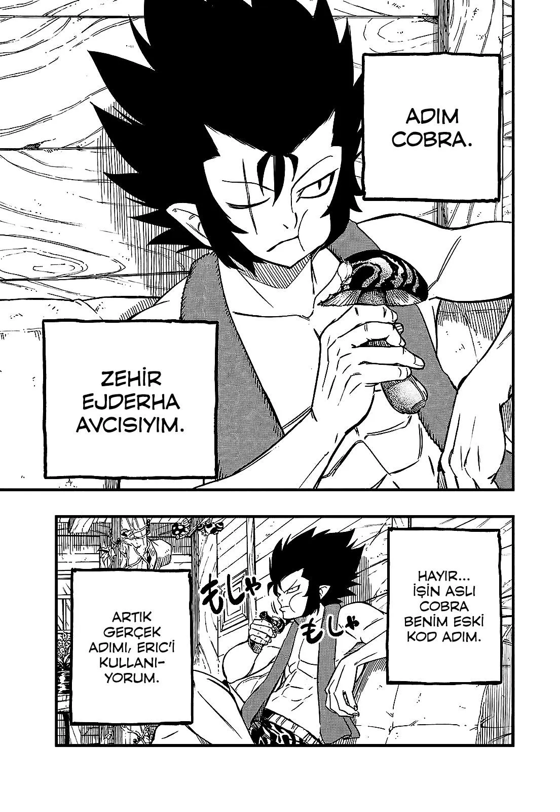 Fairy Tail: 100 Years Quest - Sayfa 4