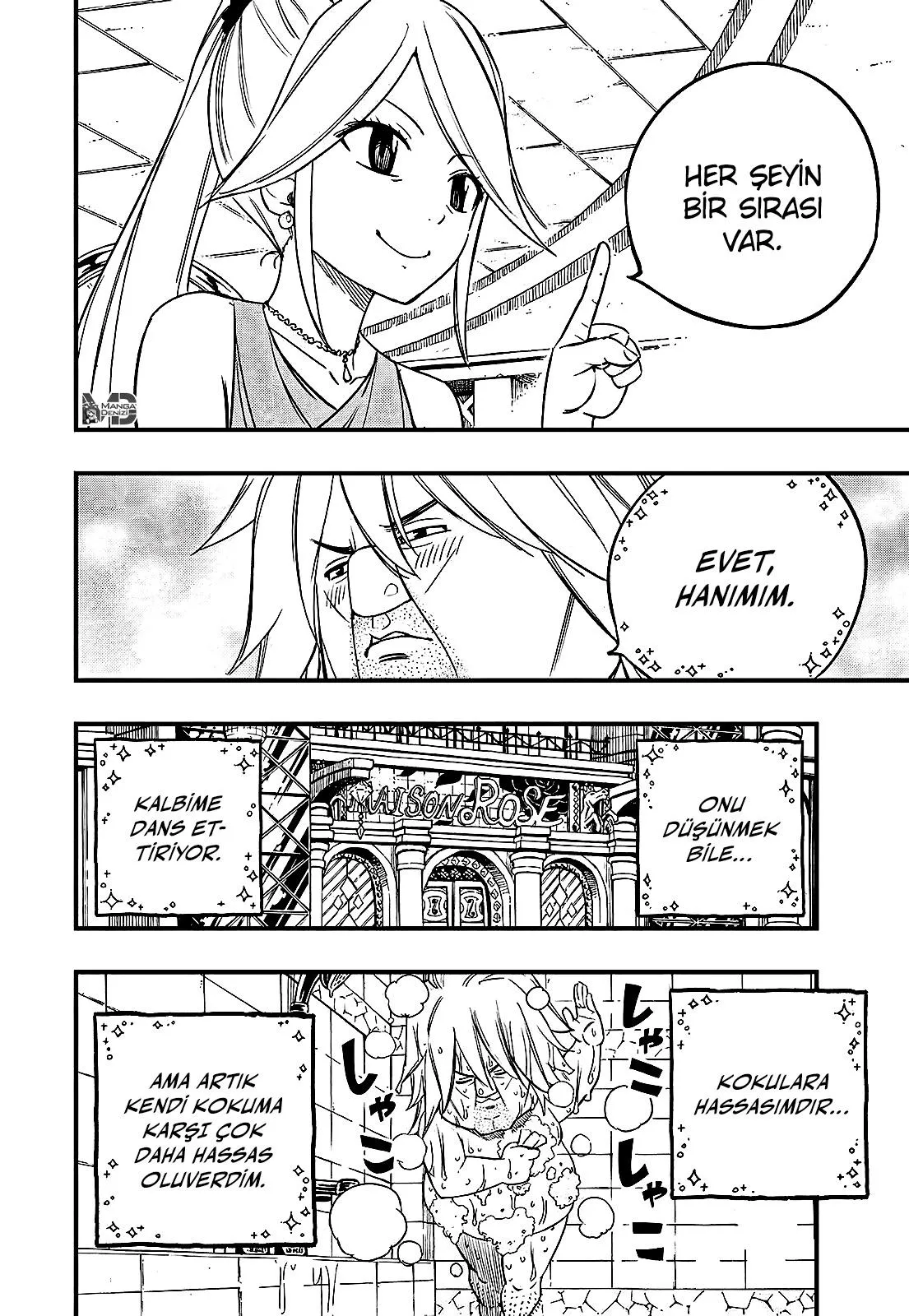 Fairy Tail: 100 Years Quest - Sayfa 9