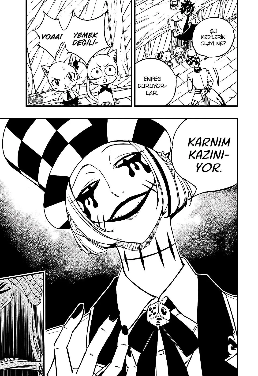 Fairy Tail: 100 Years Quest - Sayfa 14