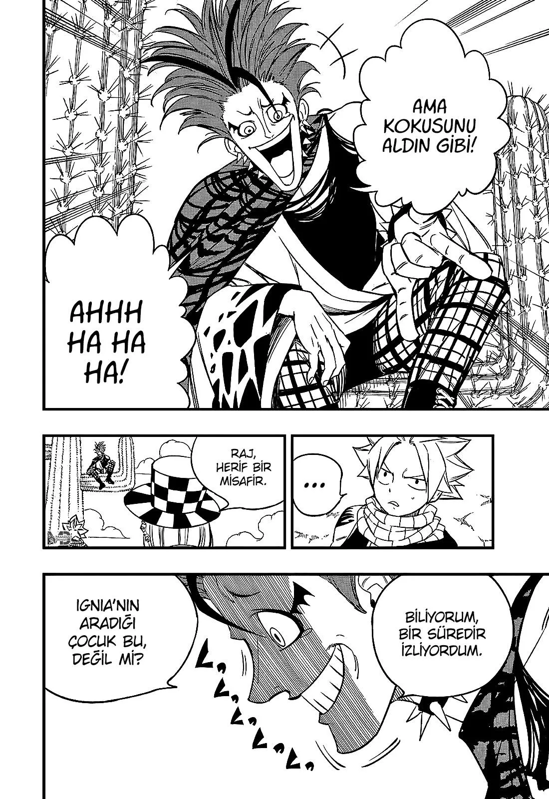 Fairy Tail: 100 Years Quest - Sayfa 5