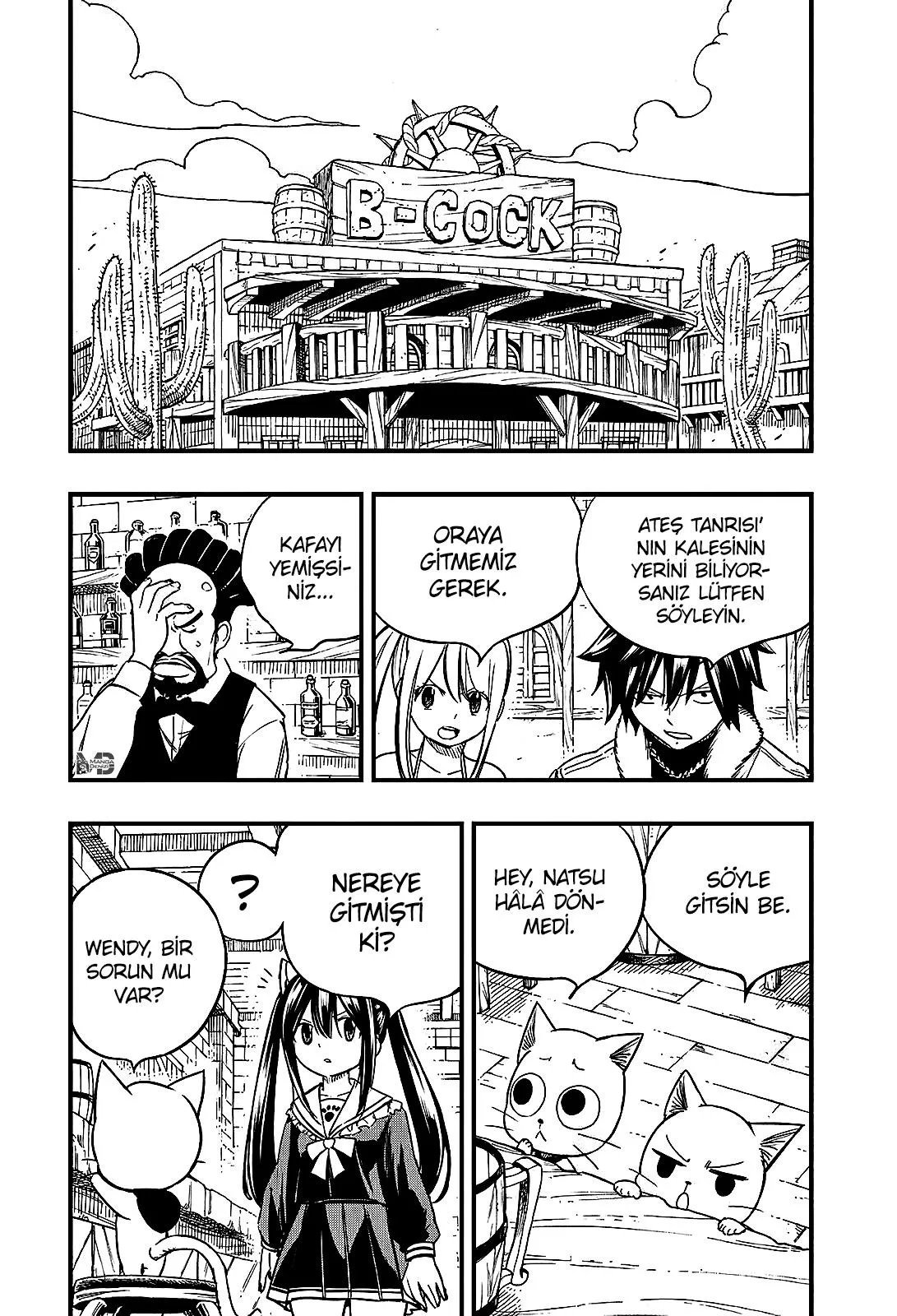 Fairy Tail: 100 Years Quest - Sayfa 14