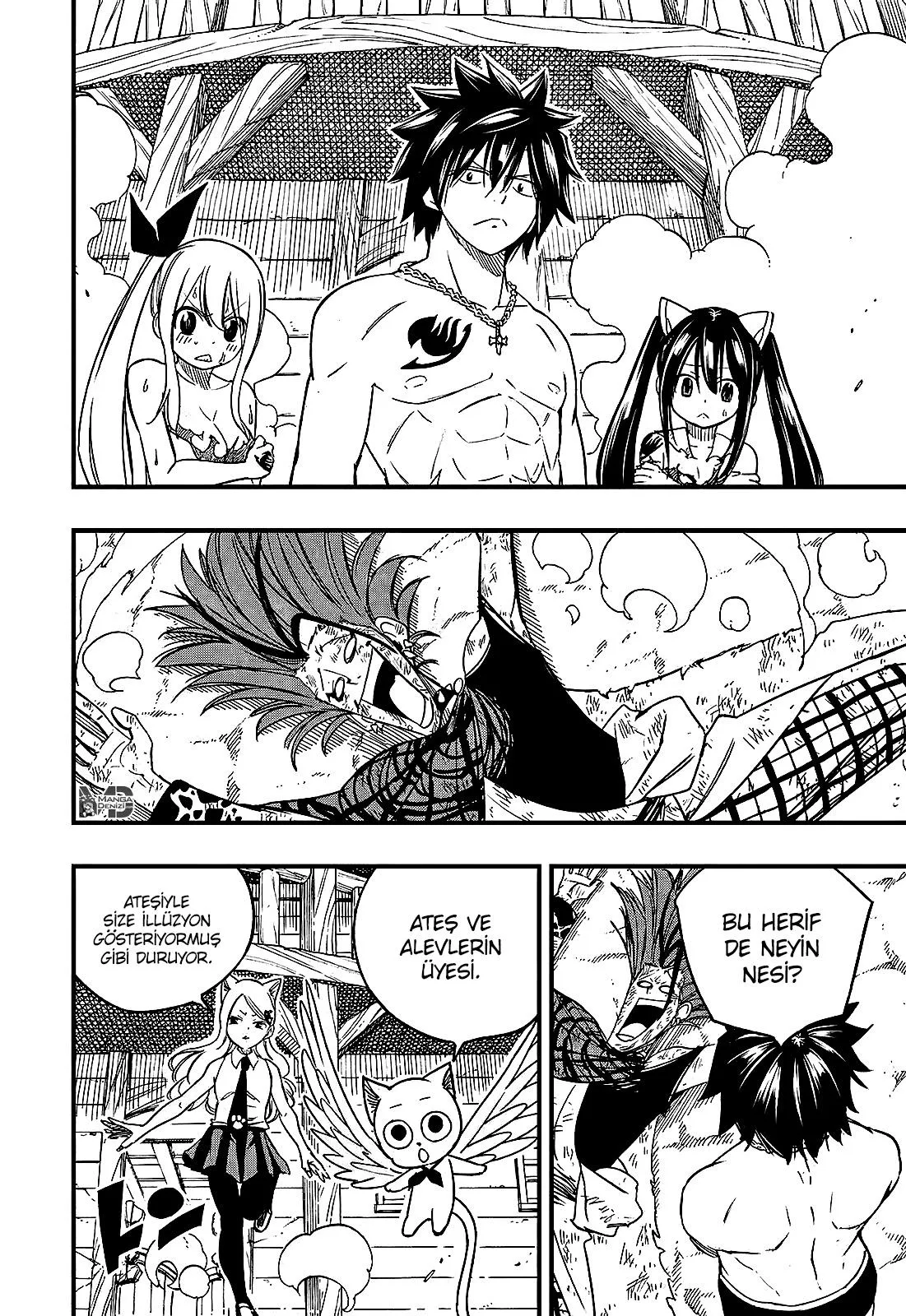 Fairy Tail: 100 Years Quest - Sayfa 3