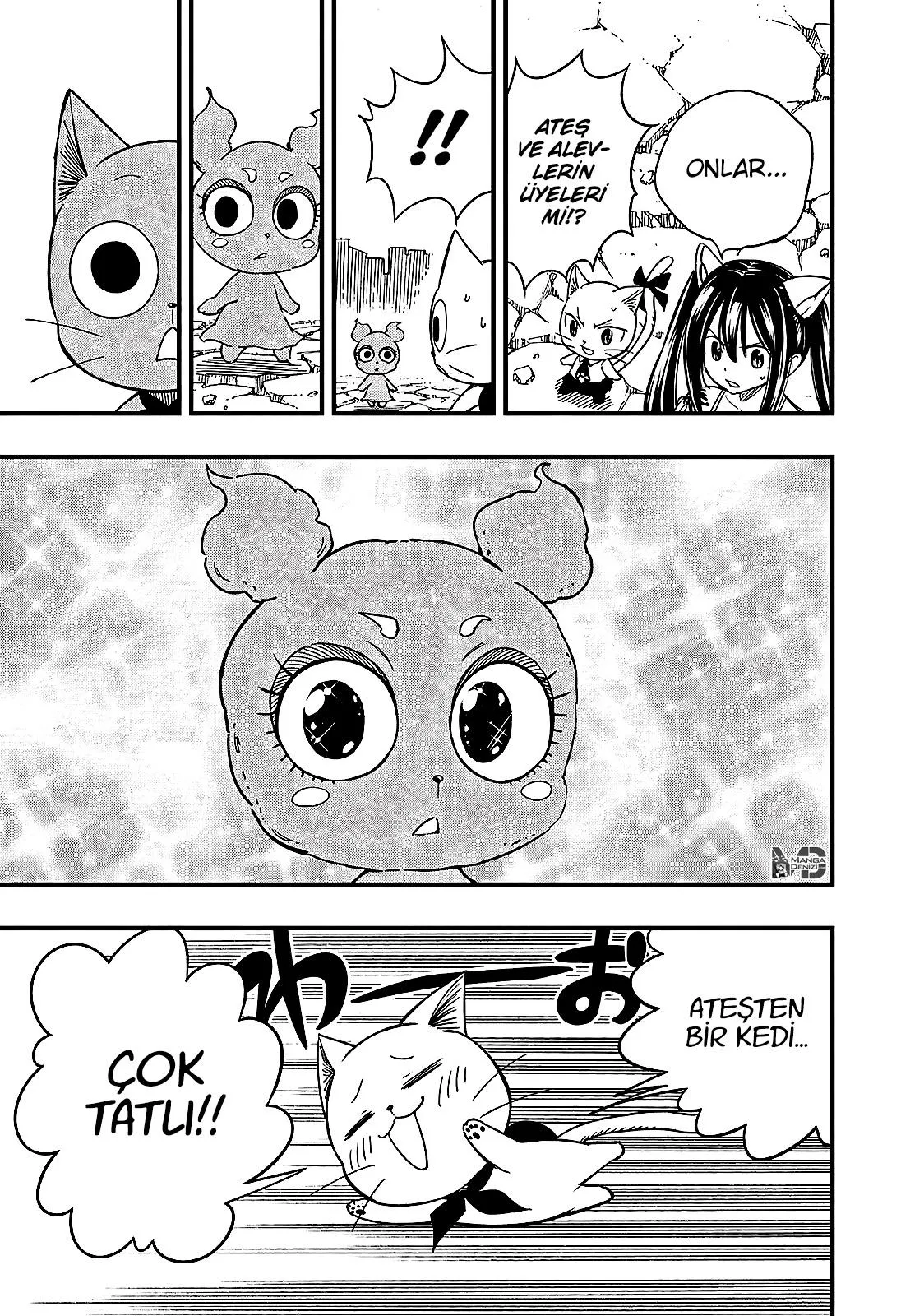 Fairy Tail: 100 Years Quest - Sayfa 12