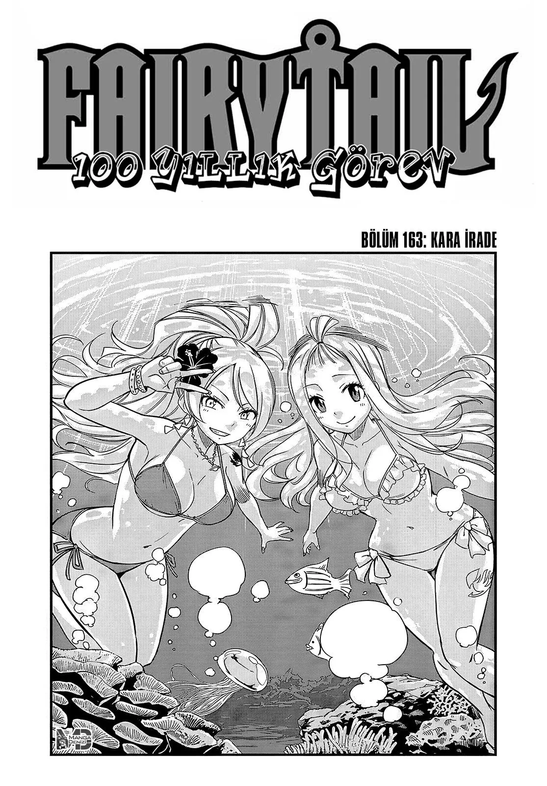 Fairy Tail: 100 Years Quest - Bölüm 163 - Sayfa 2