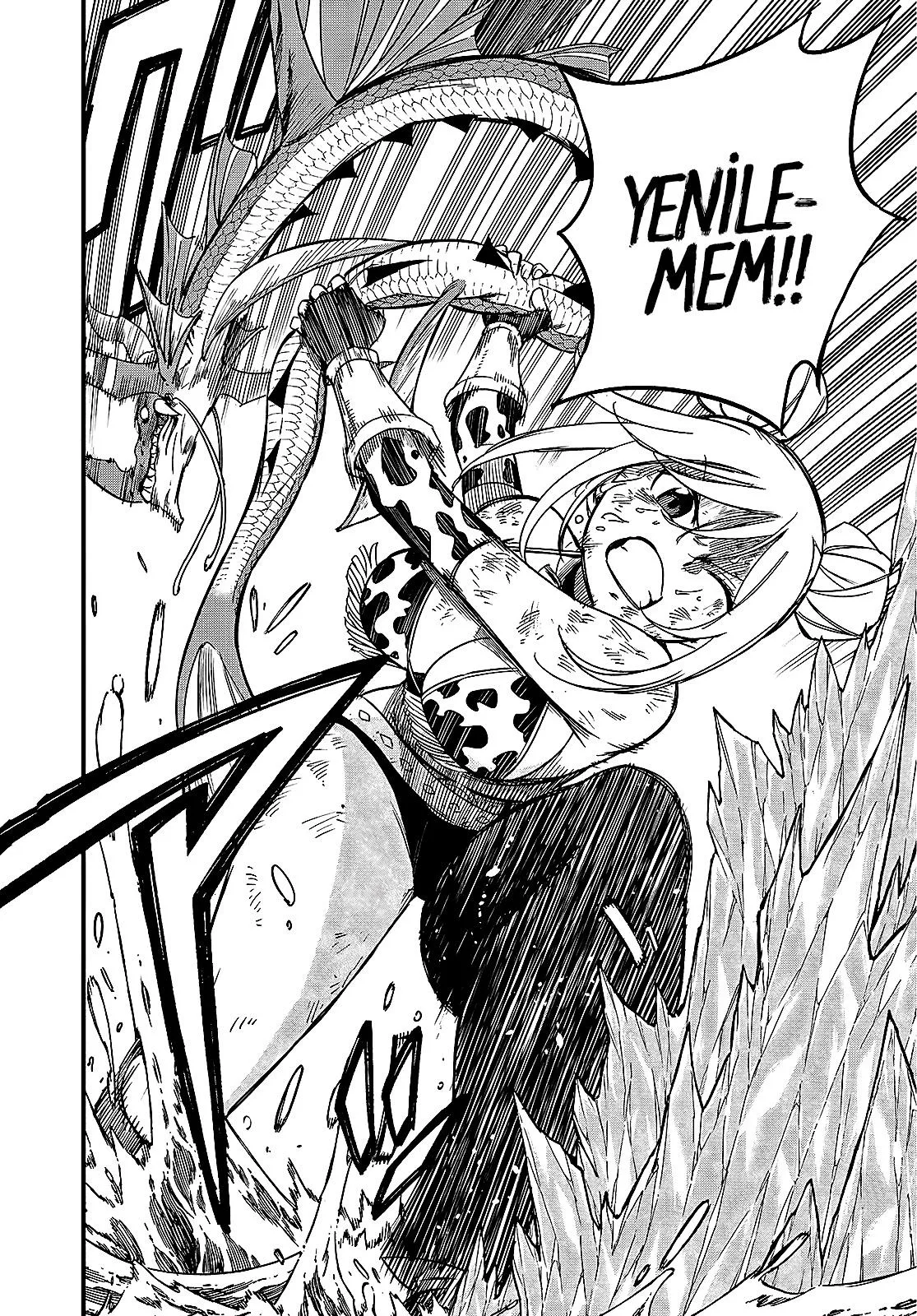 Fairy Tail: 100 Years Quest - Sayfa 13