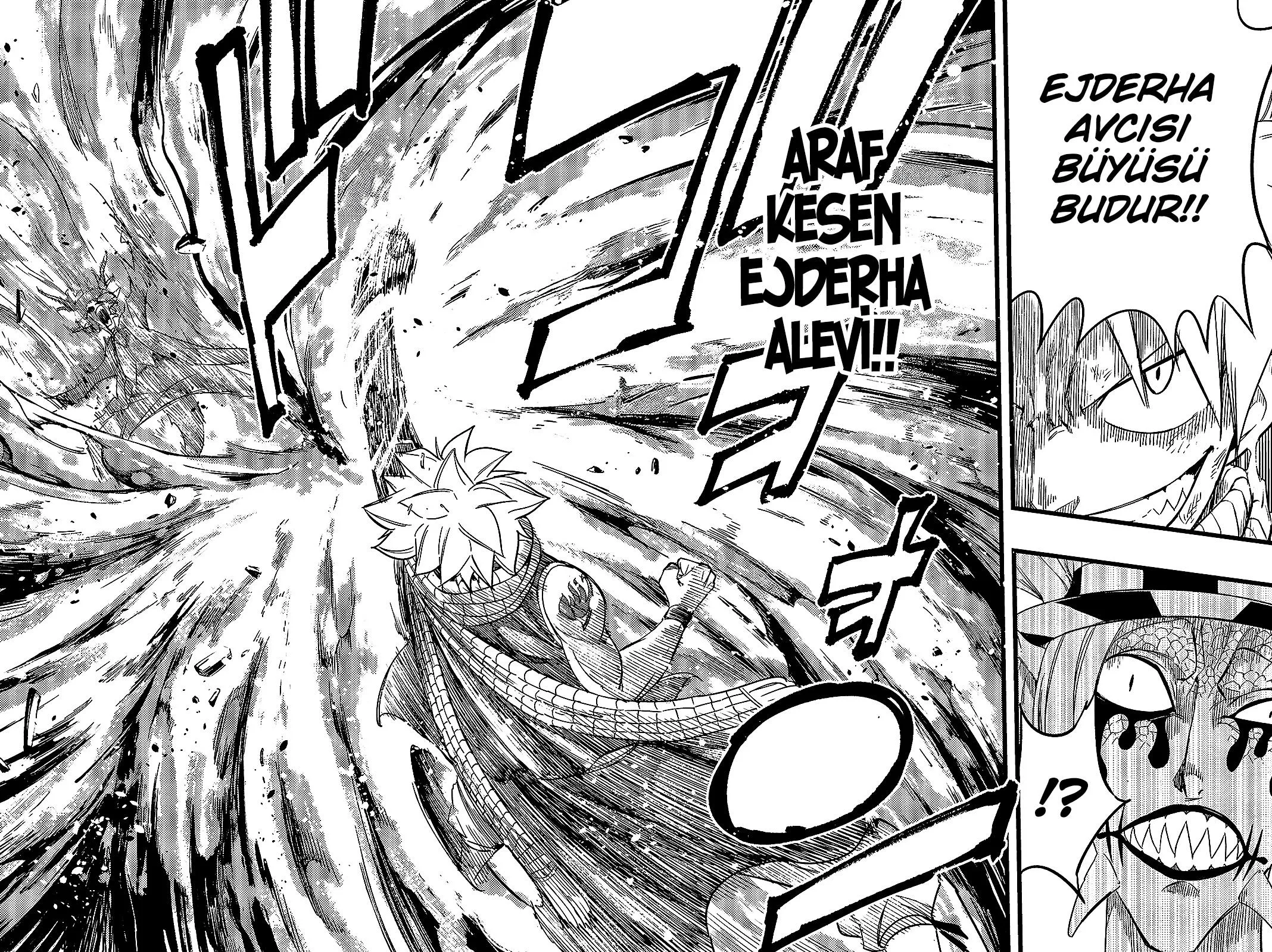 Fairy Tail: 100 Years Quest - Sayfa 9