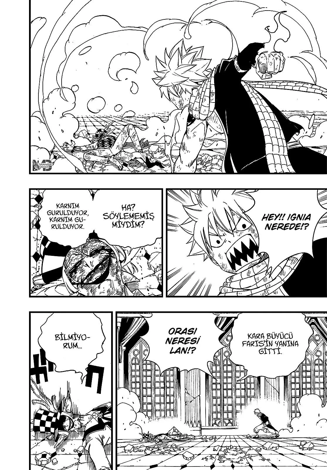 Fairy Tail: 100 Years Quest - Sayfa 3