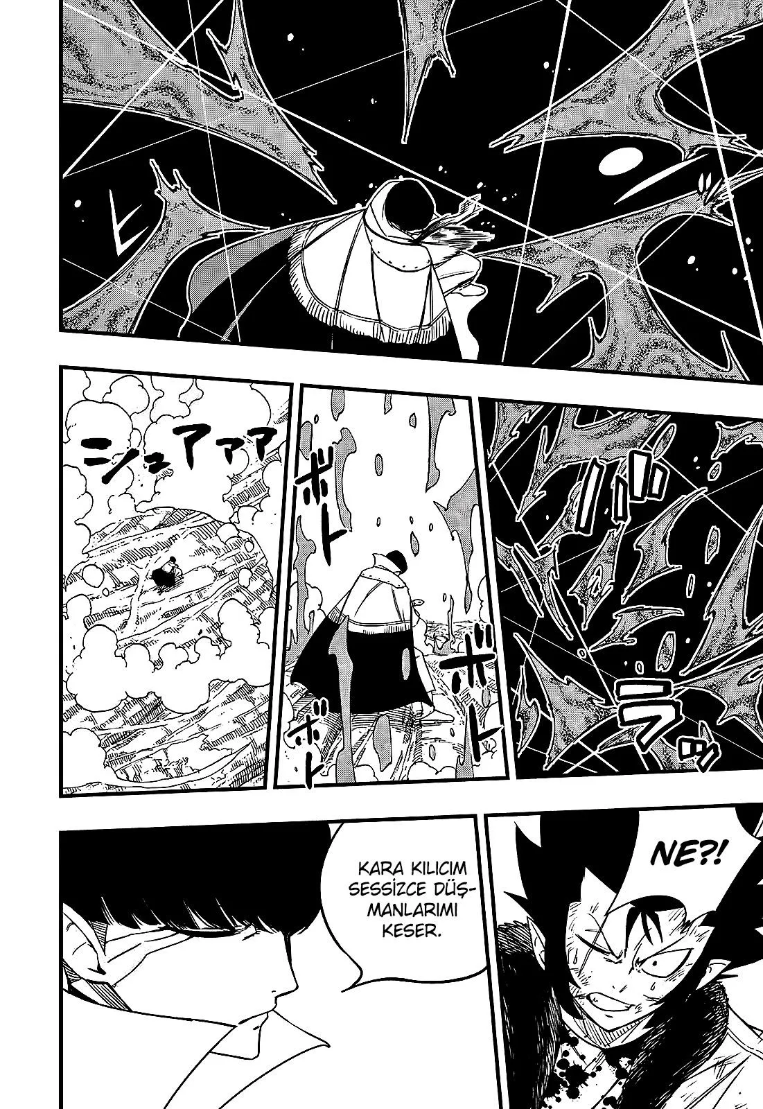 Fairy Tail: 100 Years Quest - Sayfa 13