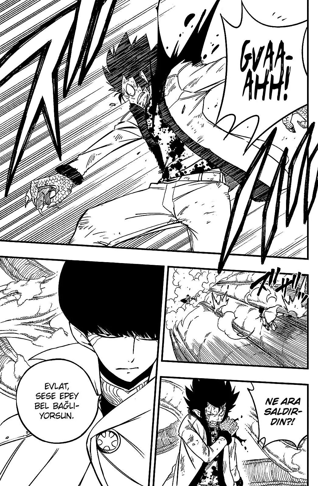 Fairy Tail: 100 Years Quest - Sayfa 14