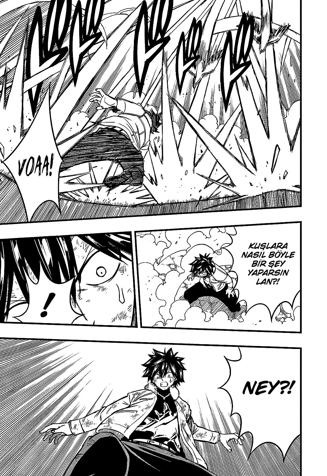 Fairy Tail: 100 Years Quest mangasının 179 bölümünün 13. sayfasını okuyorsunuz.