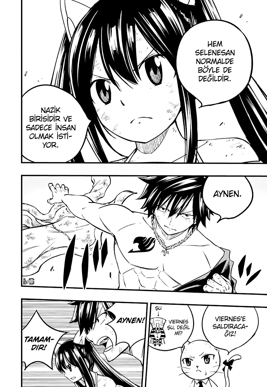 Fairy Tail: 100 Years Quest - Sayfa 12