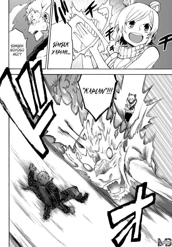 Fairy Tail Gaiden: Raigo Issen - Sayfa 5