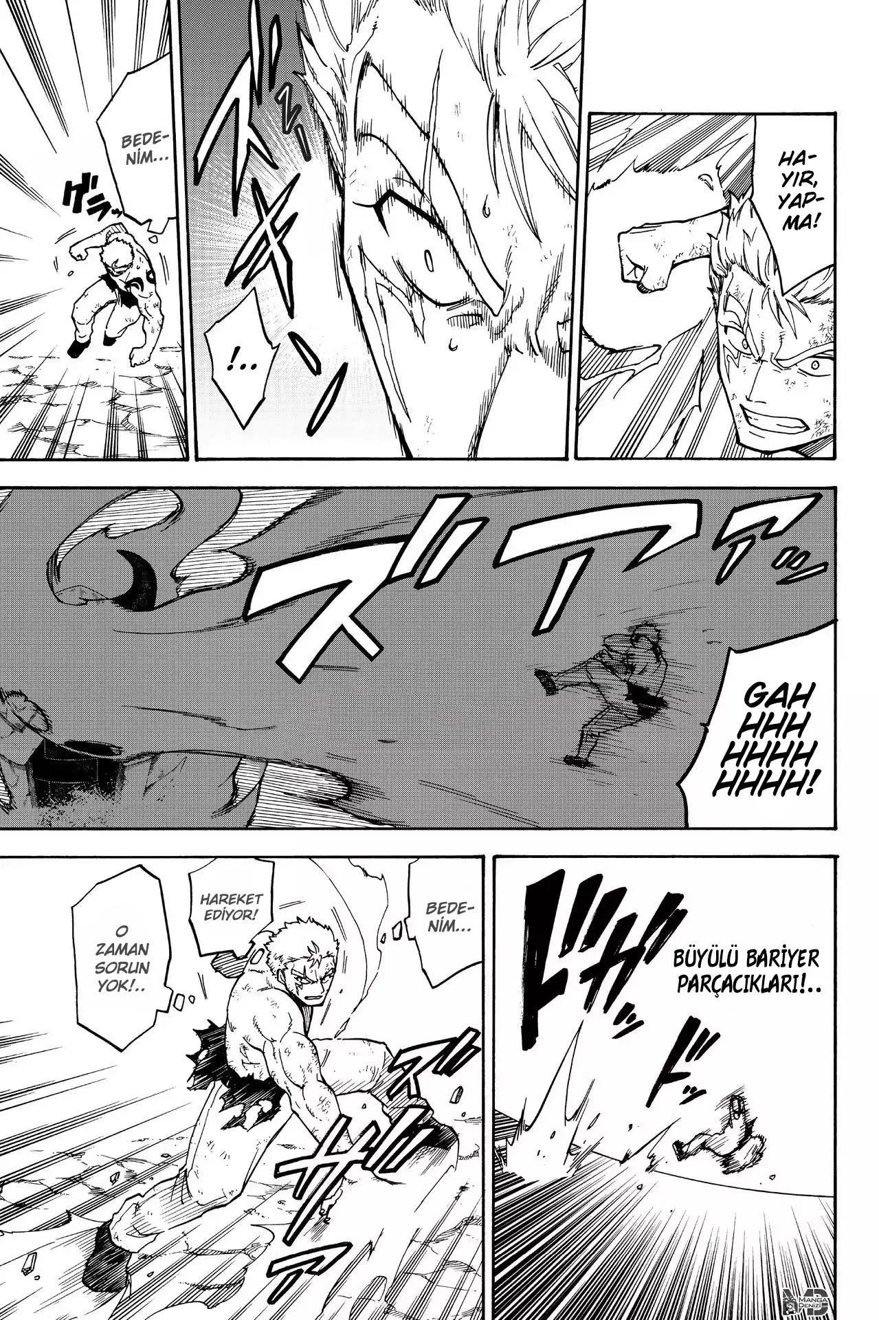 Fairy Tail Gaiden: Raigo Issen - Sayfa 4