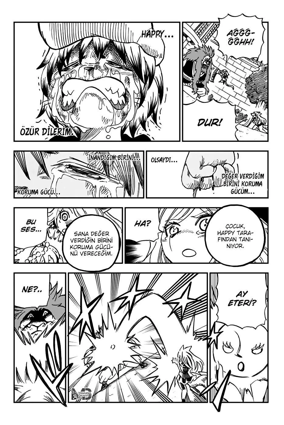 Fairy Tail: Happy's Great Adventure - Sayfa 14