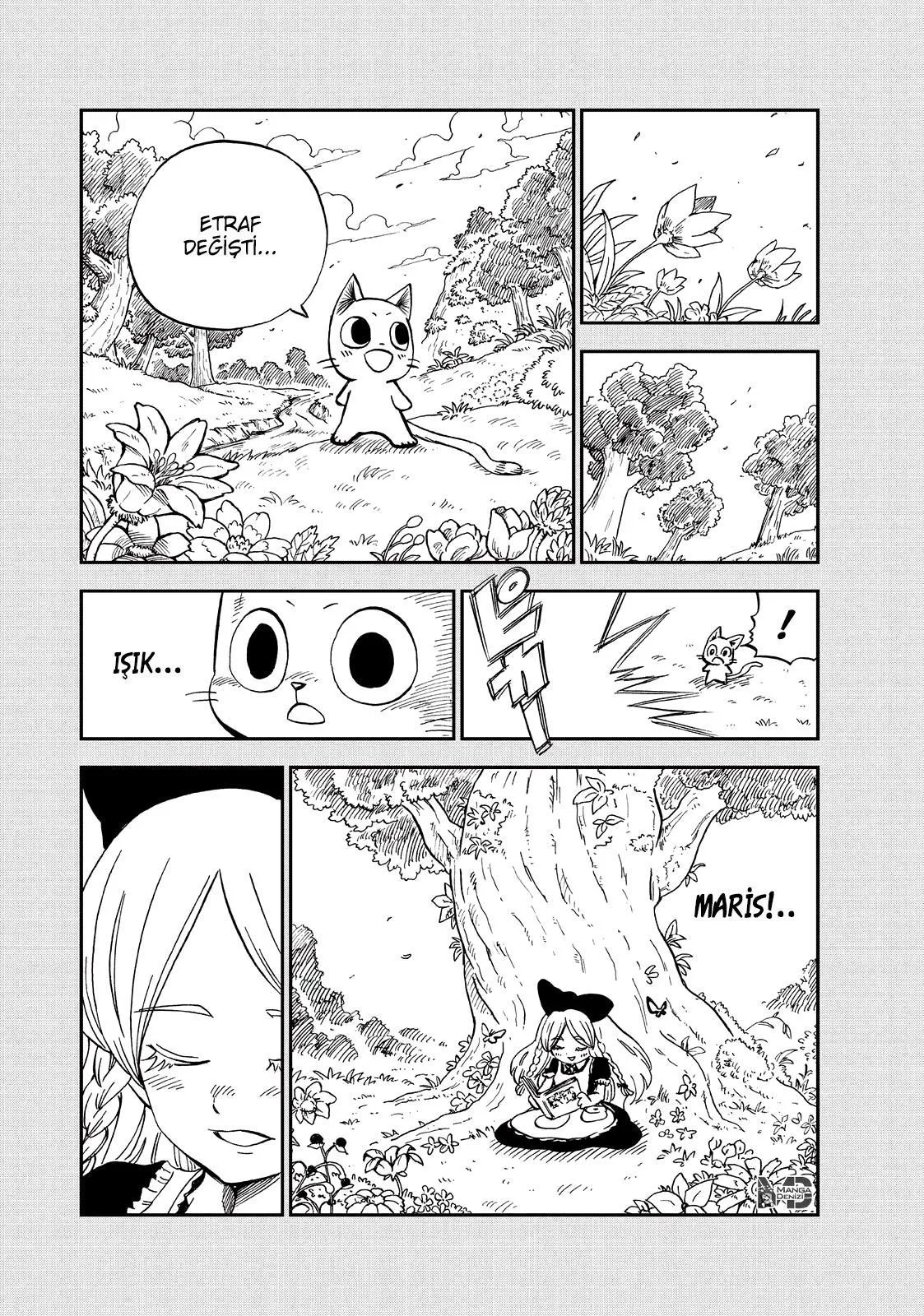 Fairy Tail: Happy's Great Adventure - Sayfa 5