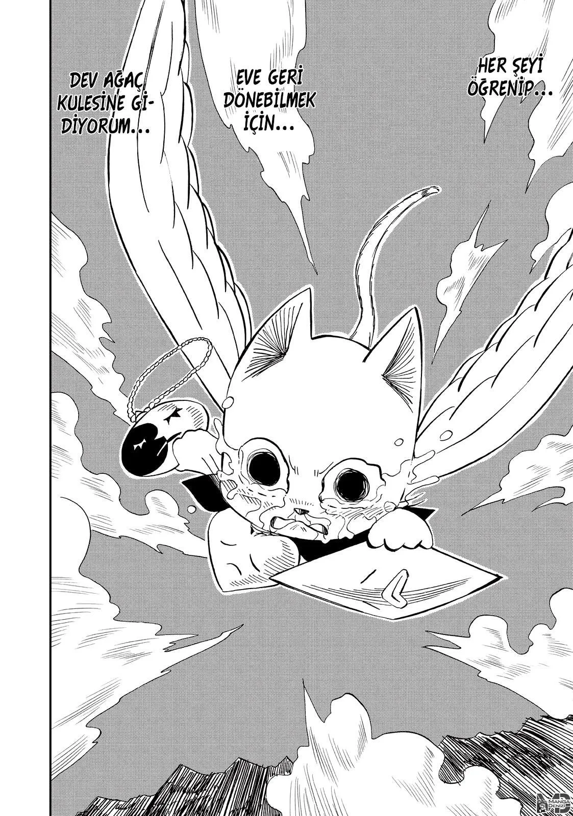 Fairy Tail: Happy's Great Adventure - Sayfa 15