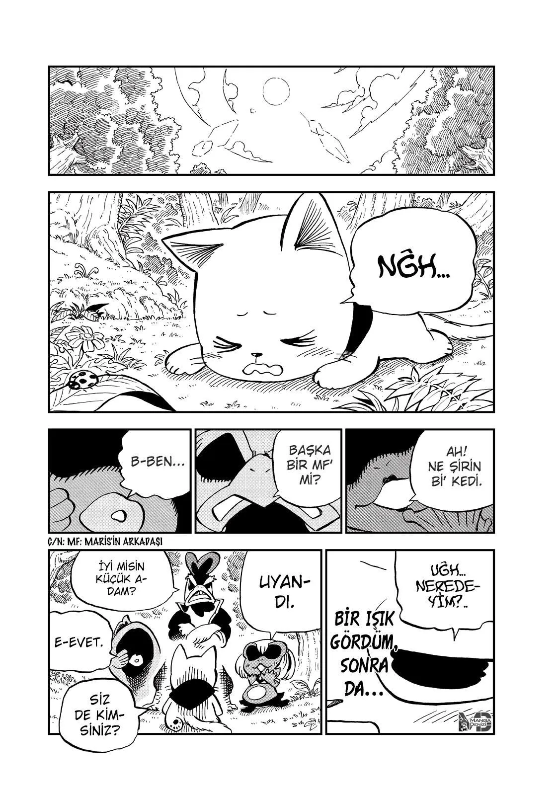 Fairy Tail: Happy's Great Adventure - Sayfa 11