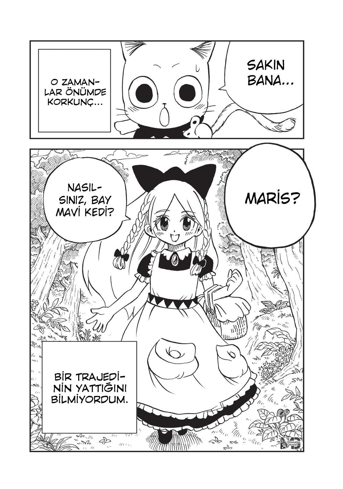 Fairy Tail: Happy's Great Adventure mangasının 55 bölümünün 15. sayfasını okuyorsunuz.