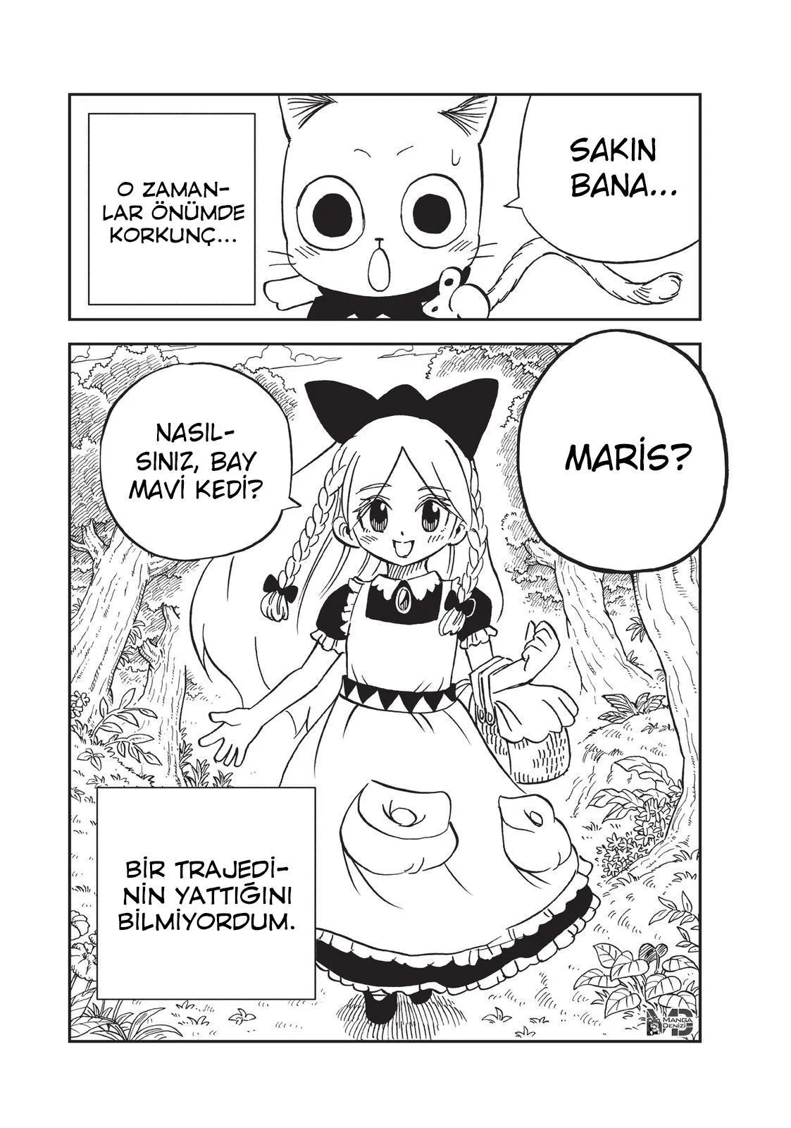 Fairy Tail: Happy's Great Adventure - Sayfa 15