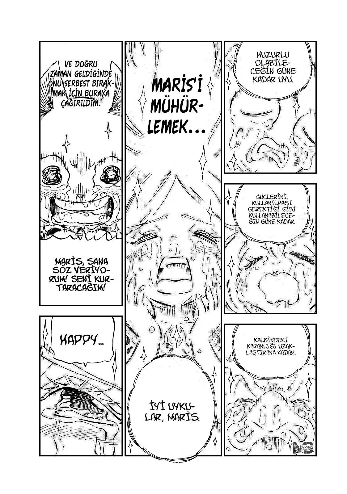 Fairy Tail: Happy's Great Adventure - Sayfa 12