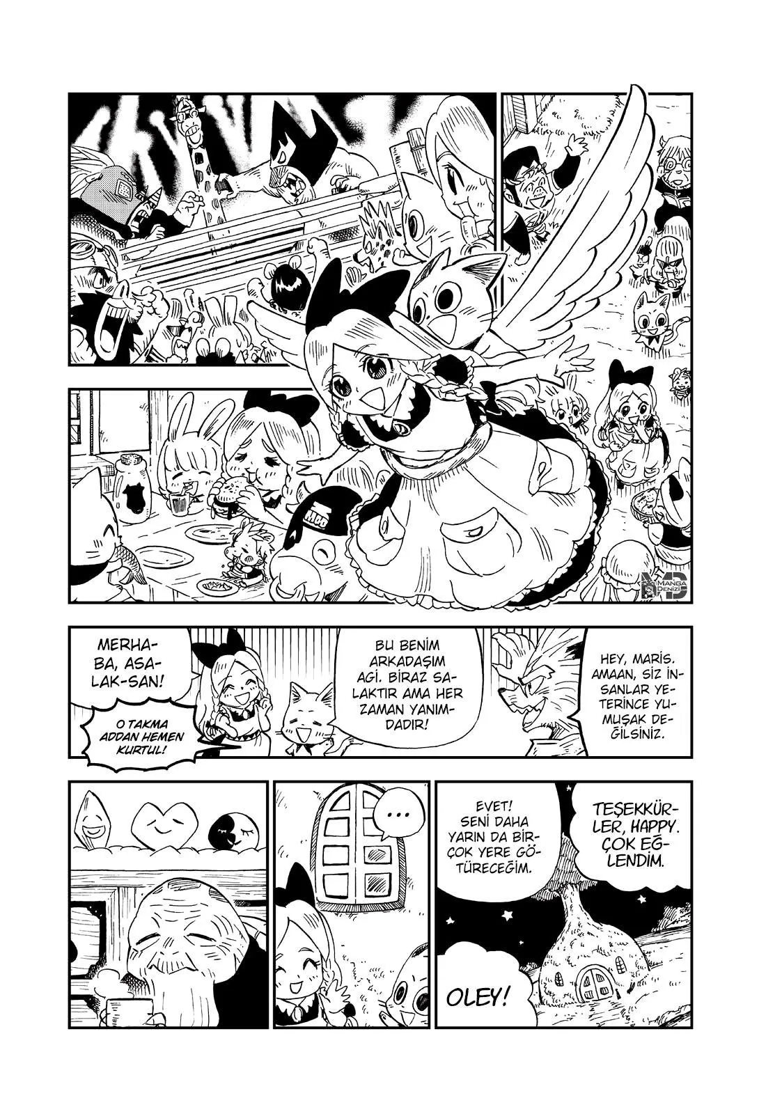 Fairy Tail: Happy's Great Adventure - Sayfa 5