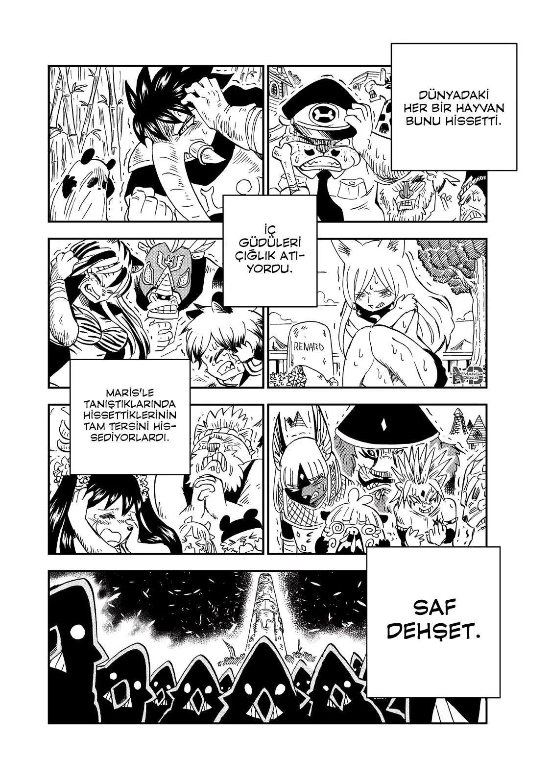 Fairy Tail: Happy's Great Adventure - Sayfa 13