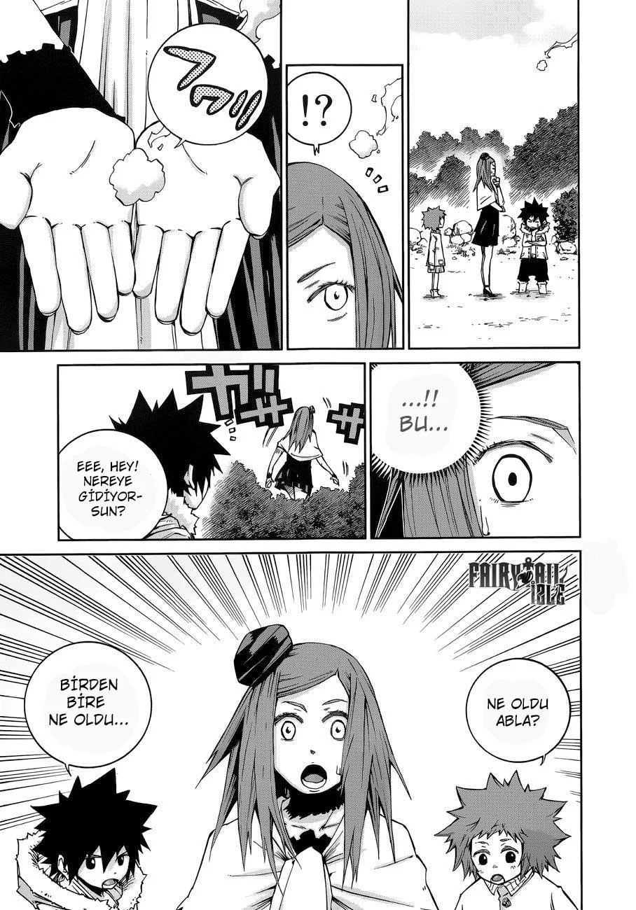 Fairy Tail: Ice Trail - Sayfa 8