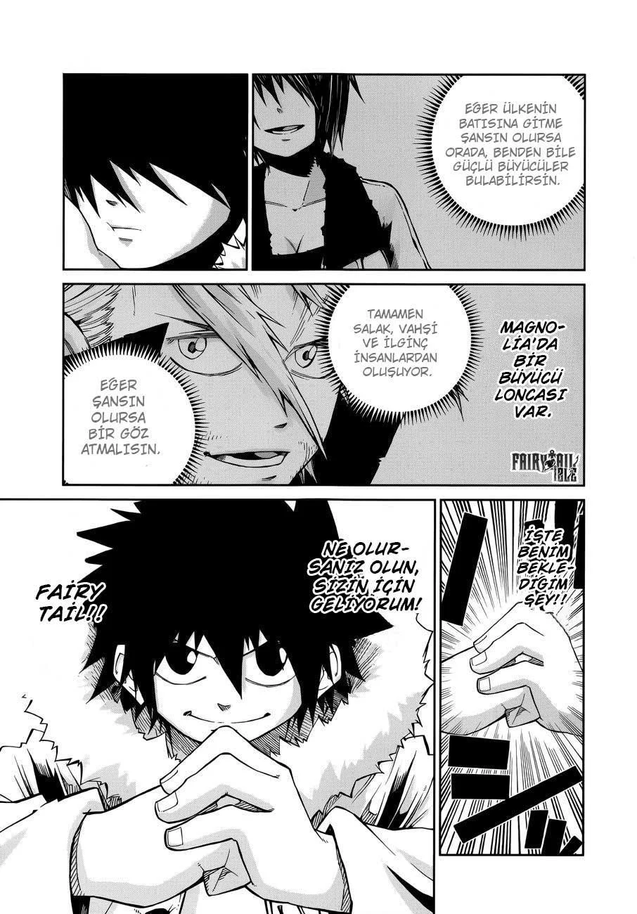 Fairy Tail: Ice Trail - Sayfa 4