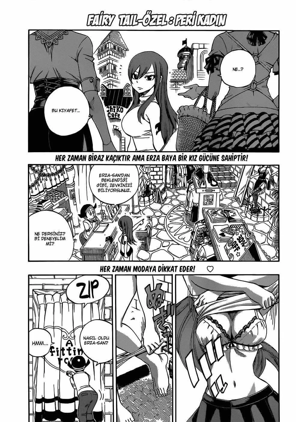 Fairy Tail: Omake - Sayfa 2
