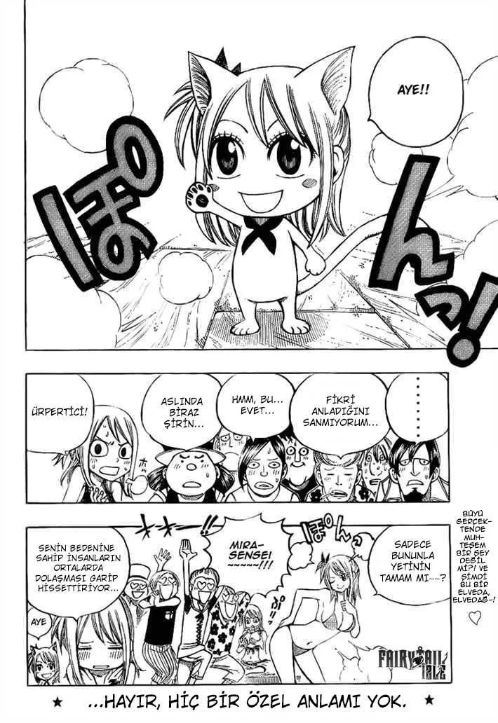 Fairy Tail: Omake - Sayfa 11