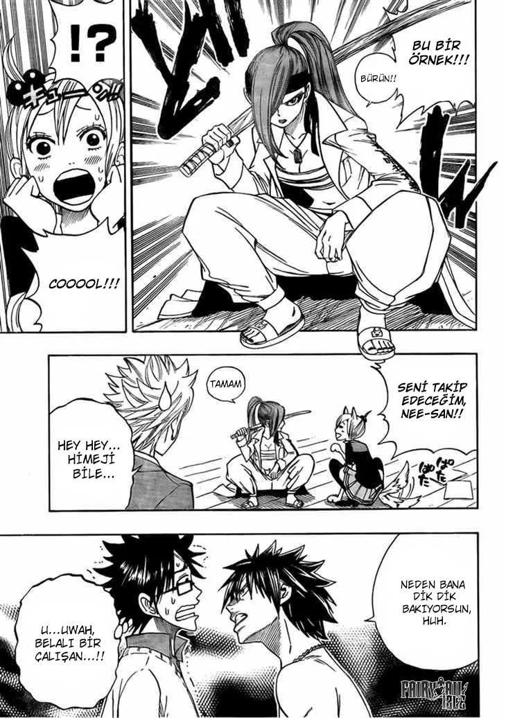 Fairy Tail: Omake - Sayfa 8