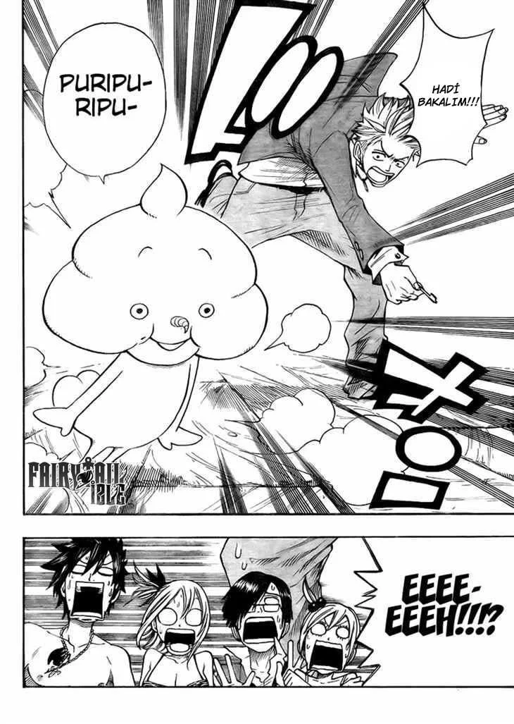 Fairy Tail: Omake - Sayfa 19