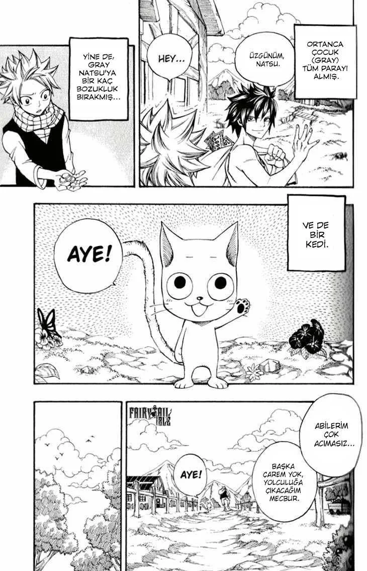 Fairy Tail: Omake - Sayfa 4