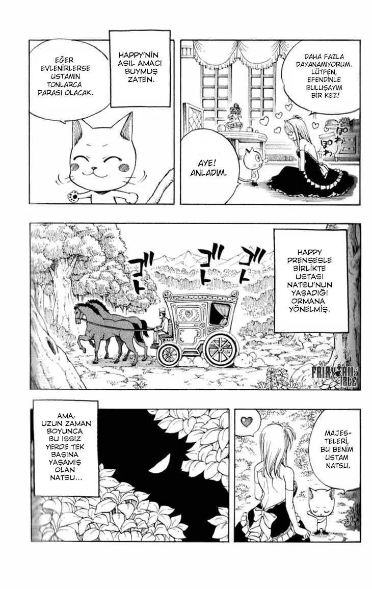 Fairy Tail: Omake - Sayfa 8