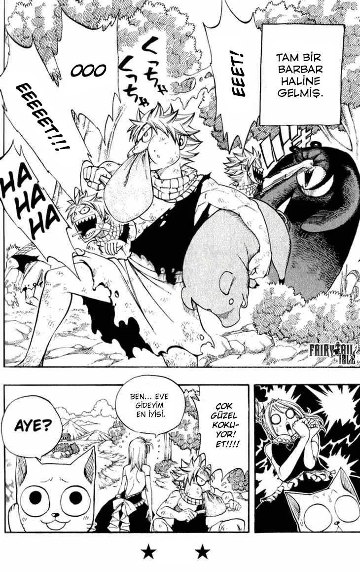Fairy Tail: Omake - Sayfa 9