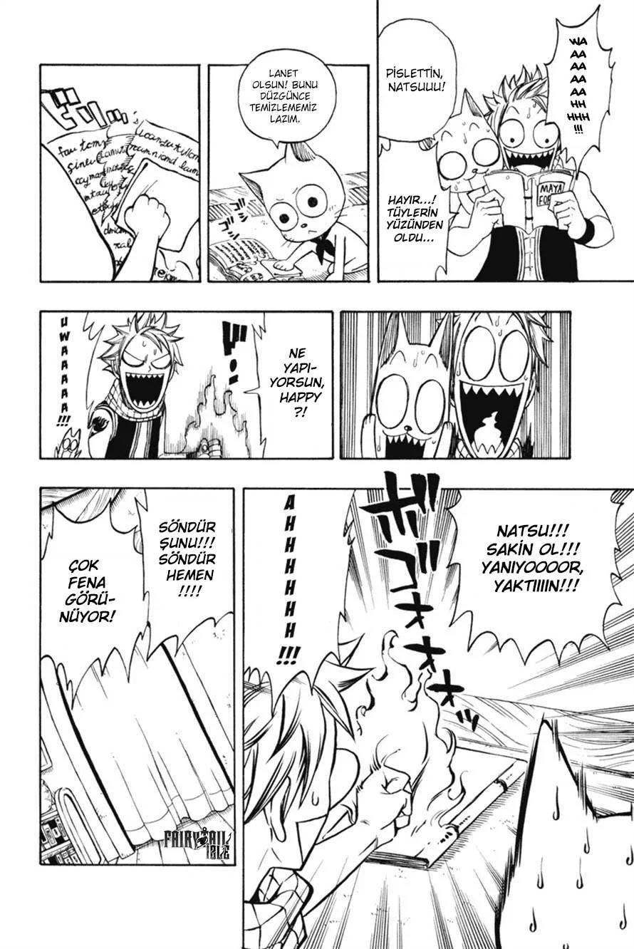 Fairy Tail: Omake - Sayfa 5