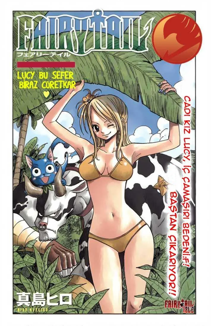 Fairy Tail: Omake - Sayfa 2