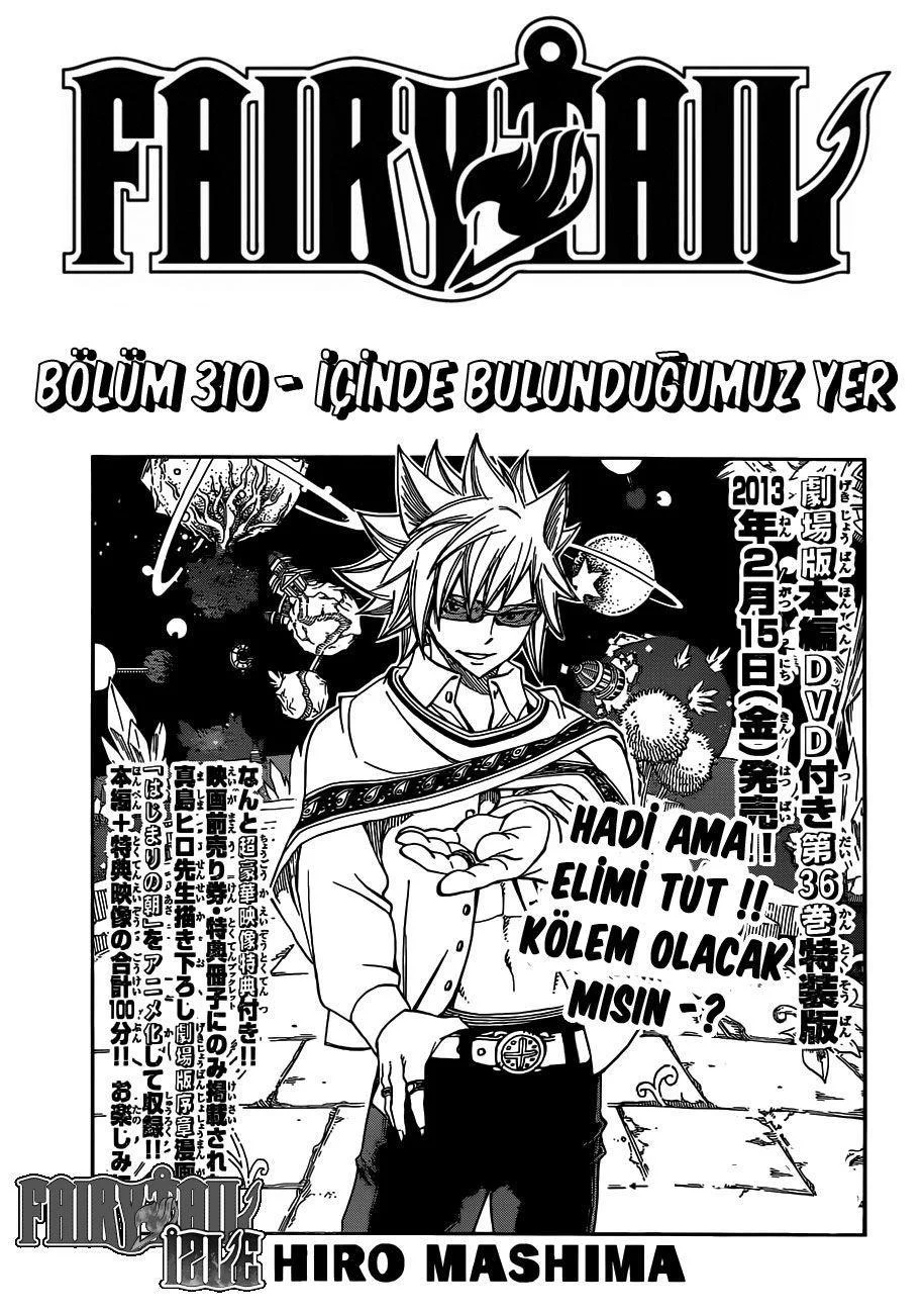 Fairy Tail - Sayfa 2
