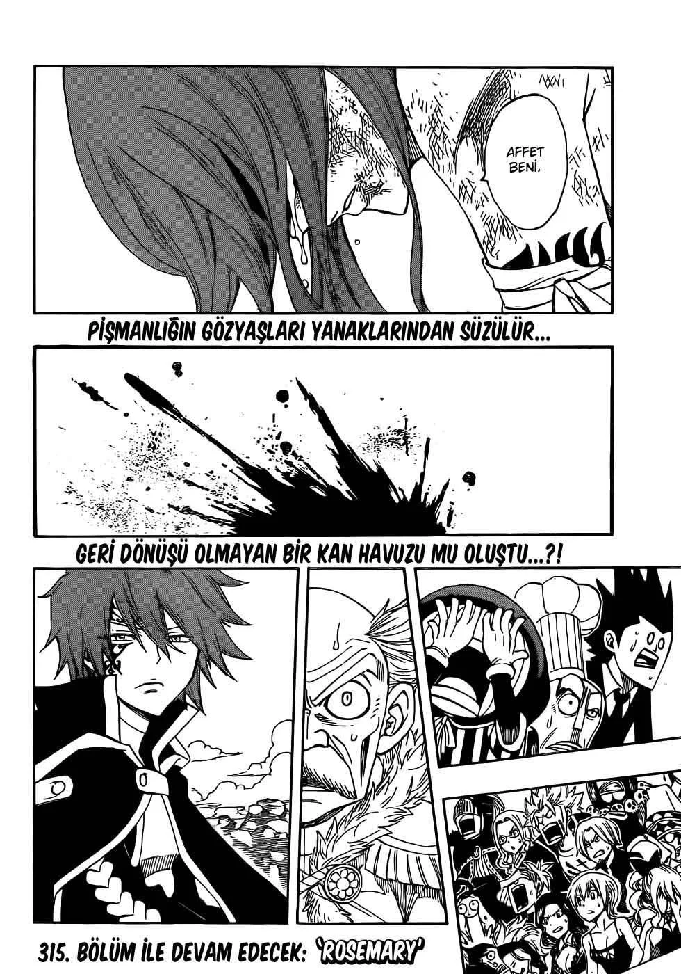 Fairy Tail - Bölüm 314 - Sayfa 21