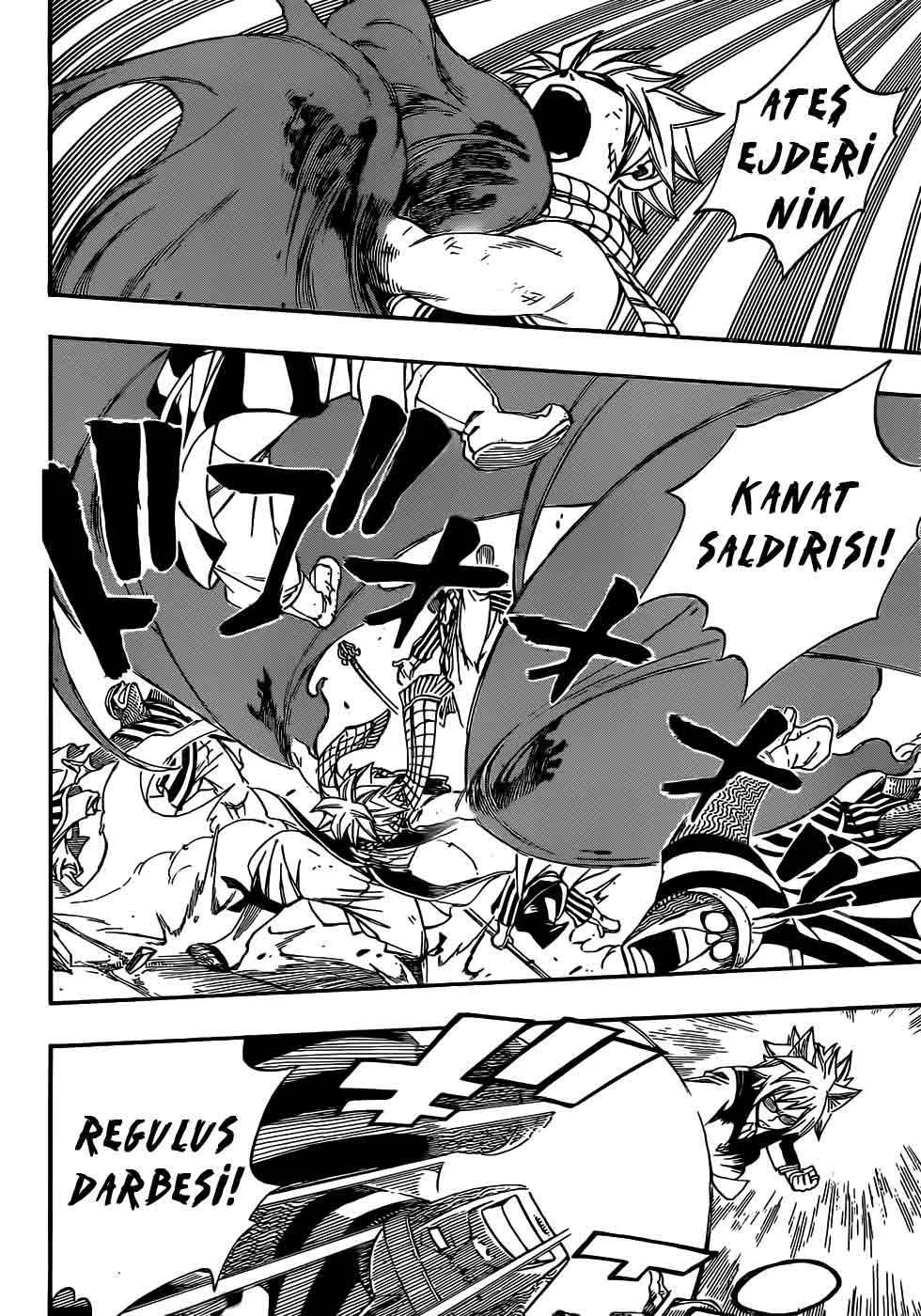 Fairy Tail - Sayfa 14