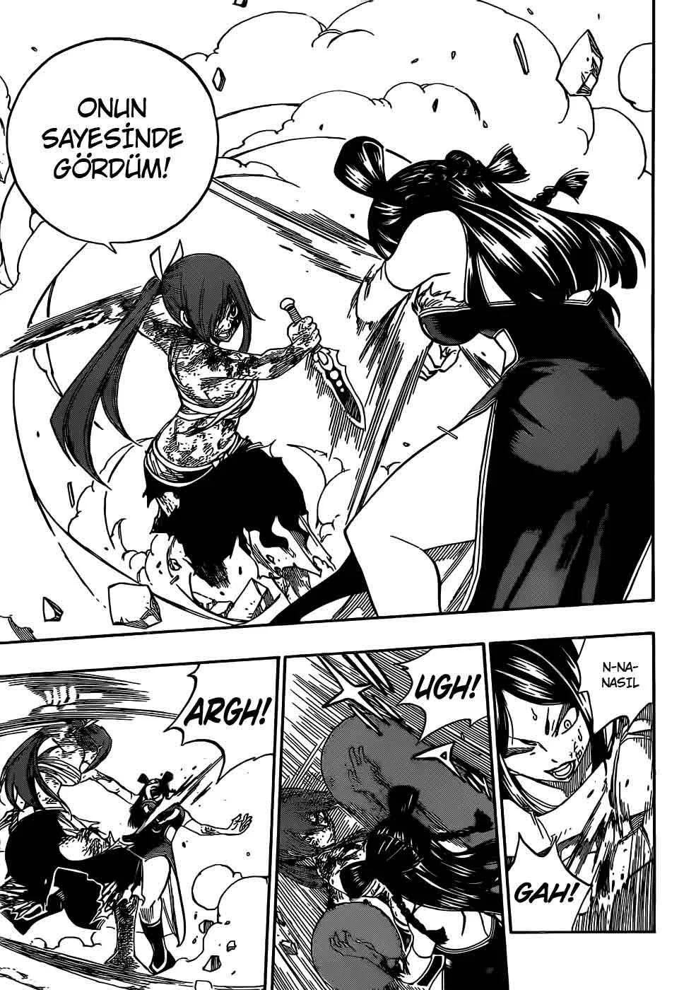 Fairy Tail - Sayfa 14