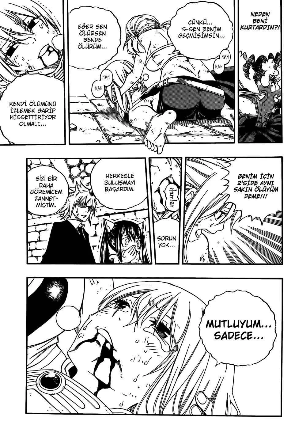 Fairy Tail - Sayfa 14