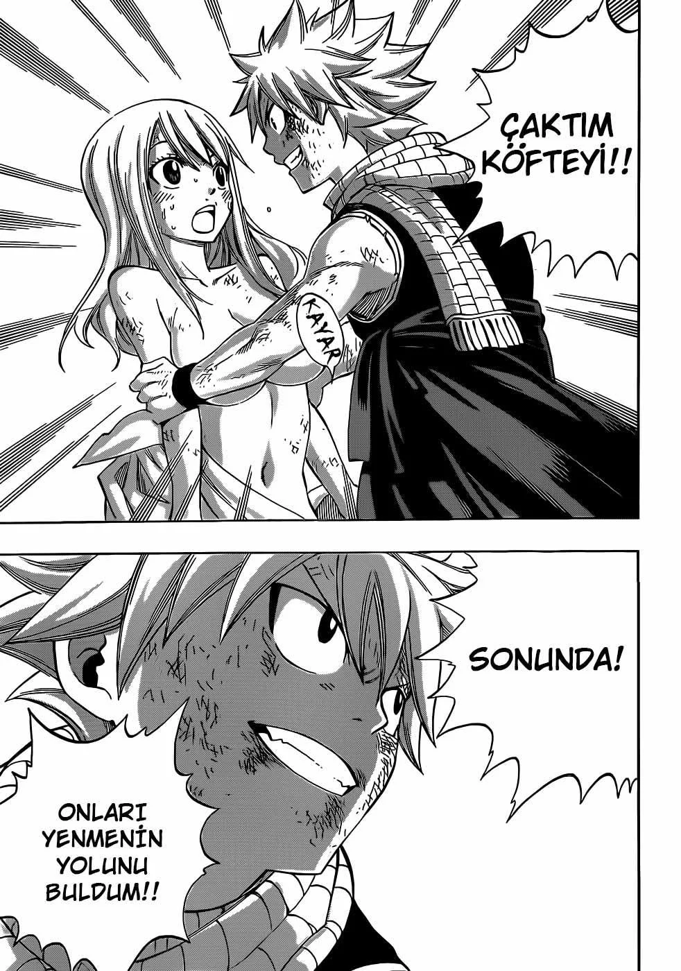 Fairy Tail - Sayfa 14