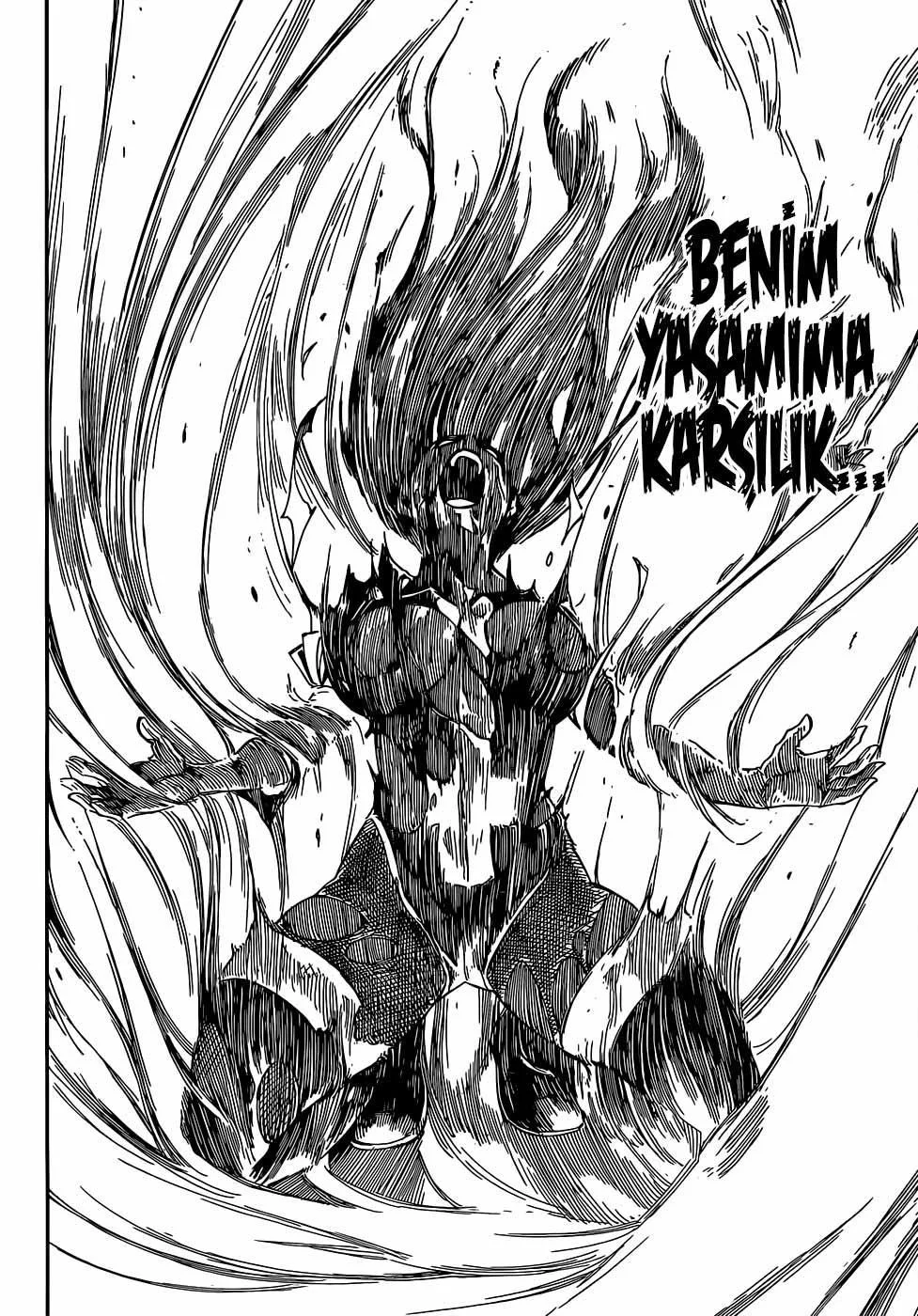 Fairy Tail - Sayfa 11