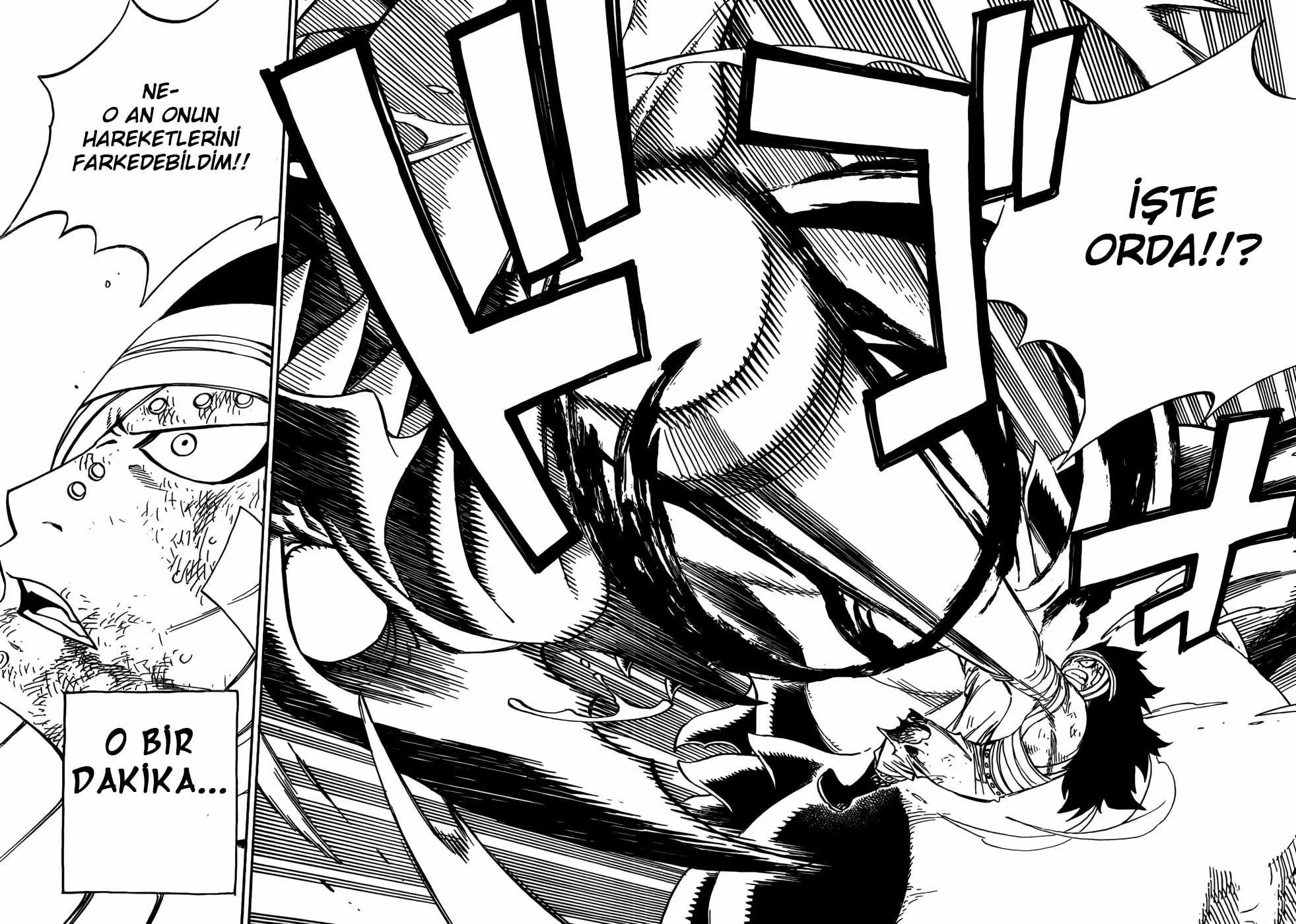 Fairy Tail - Sayfa 19